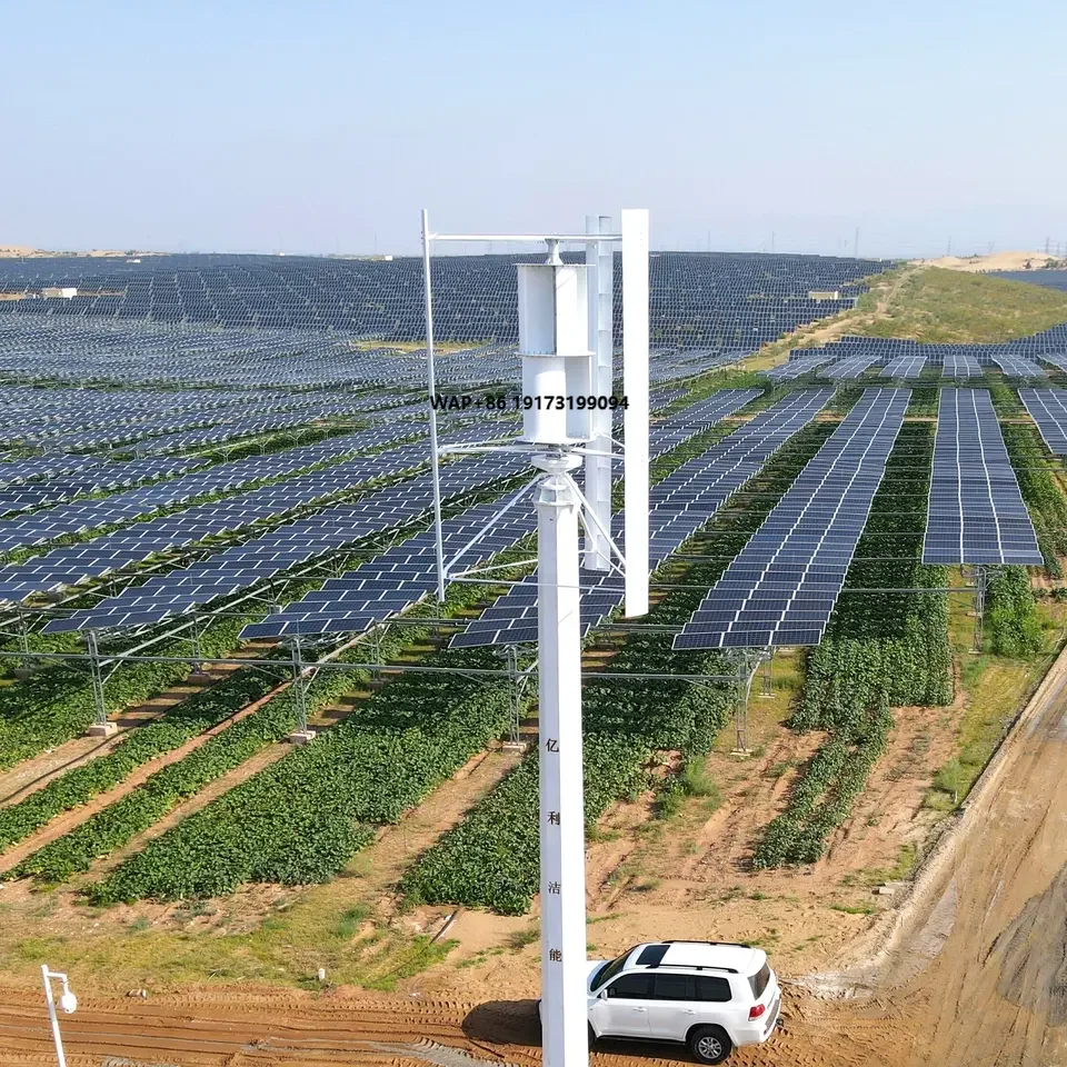 Wind Turbine Generator - 中国工場製 小型風力タービン 磁気浮上発電機 永久磁石システム フリーエネルギー 220v出力電圧